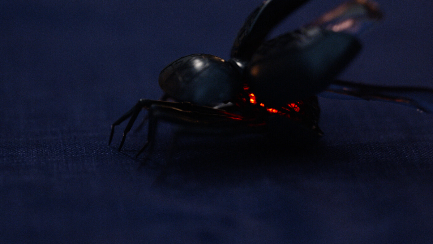 His Dark Materials: Spy-Flies